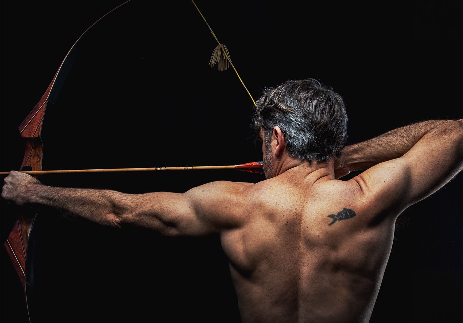 Muscular back of a man drawing a traditional bow